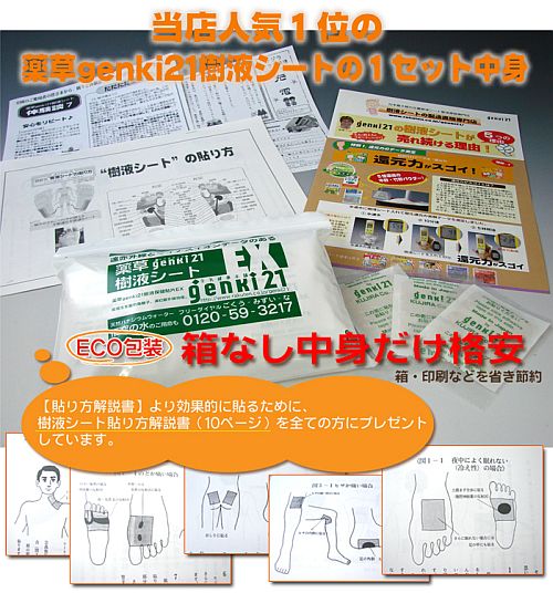 エコ梱包だから 足裏樹液シートが激安で 症状別の貼る場所説明書付き